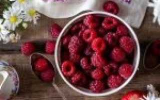 Как приготовить ароматное и полезное желе из малины