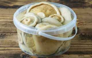 Соленые грузди на зиму, самые вкусные рецепты горячим способом